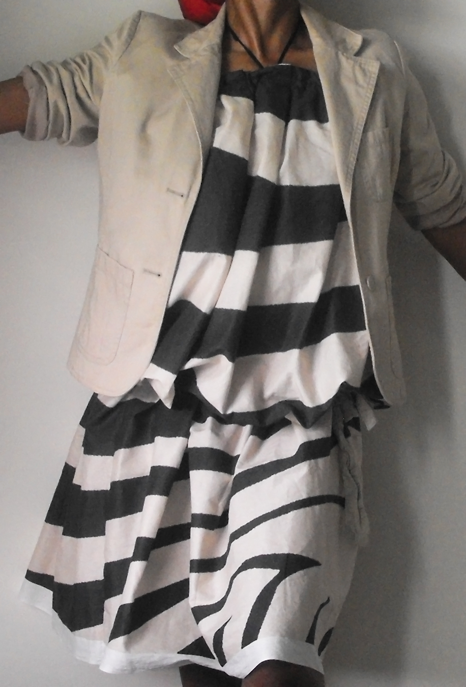 monica modeling zebra print skirt dress 1