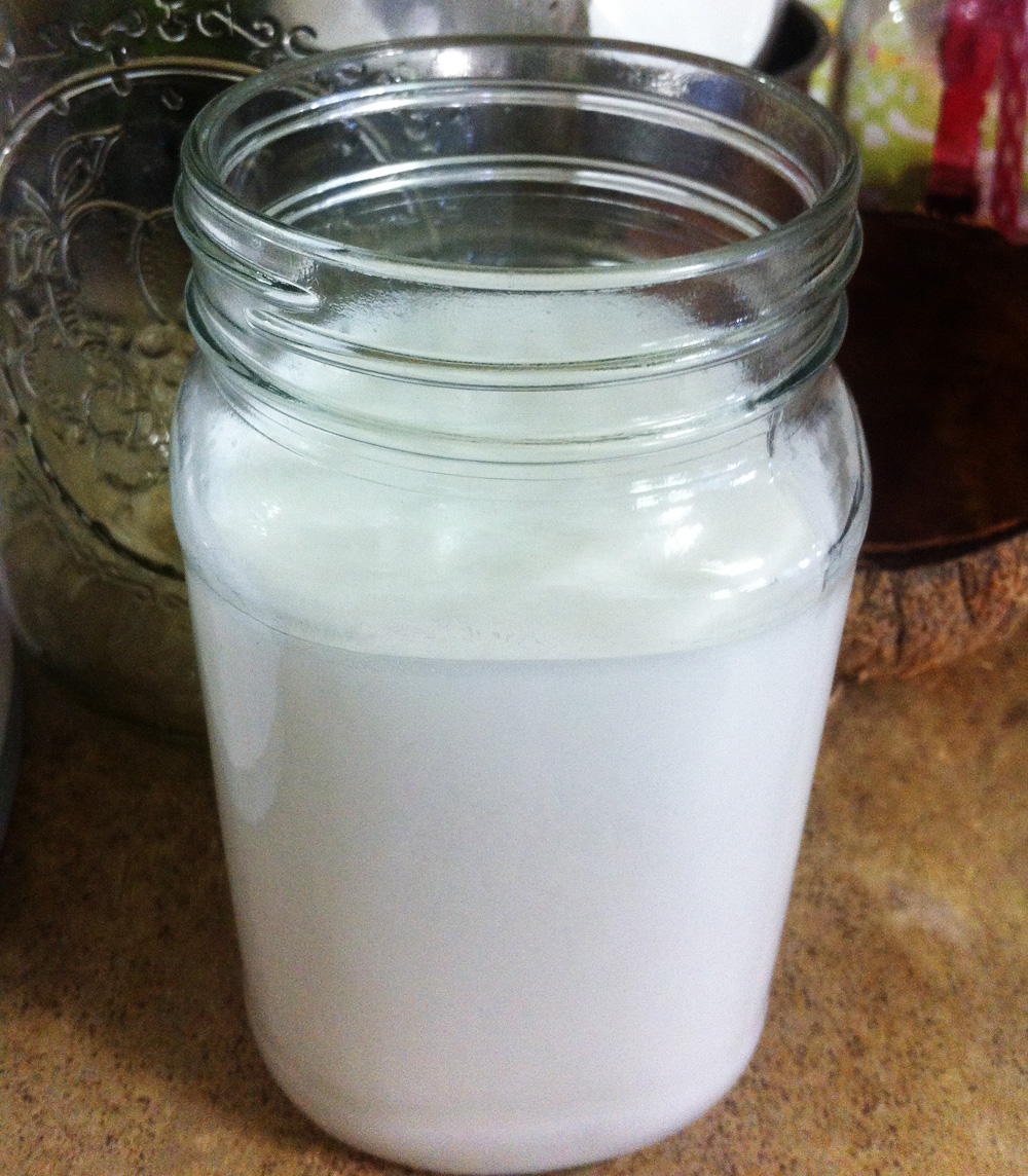 home made coconut milk 1